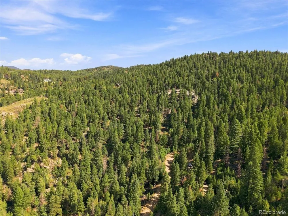 30851 Pike View Drive Conifer, CO 80433