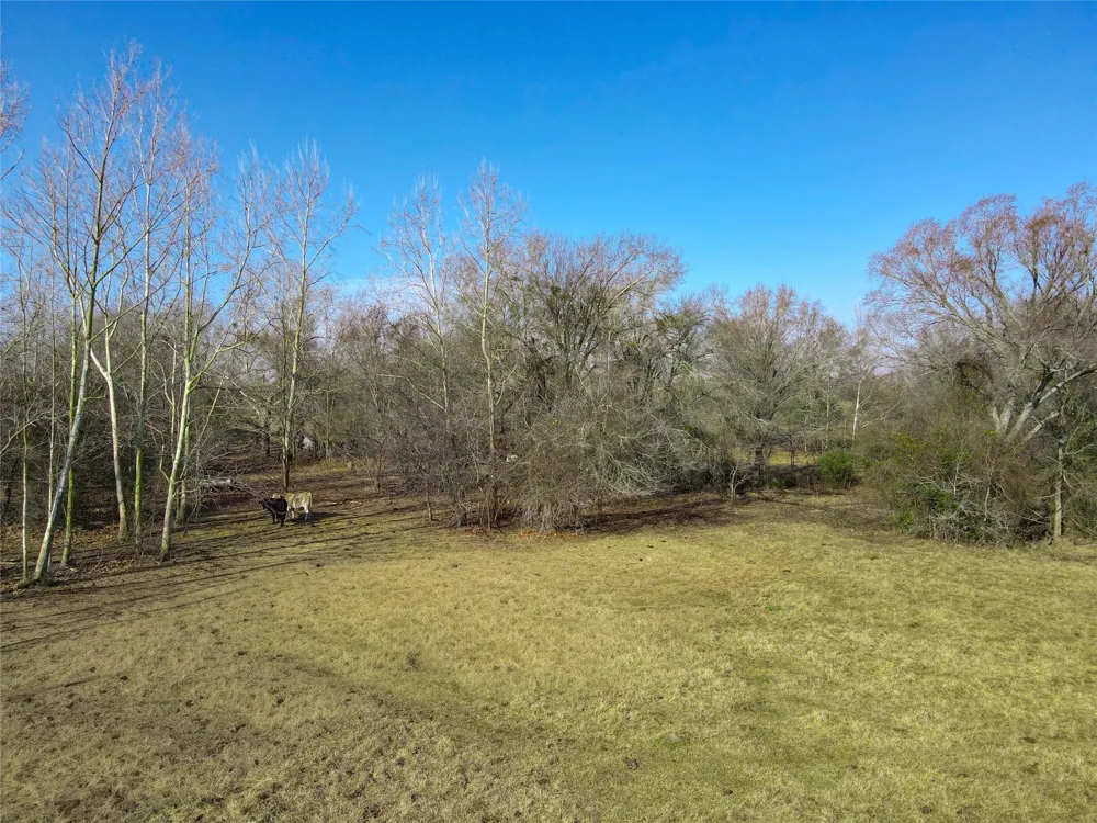 9561 Farm Market 166 Caldwell, TX 77836