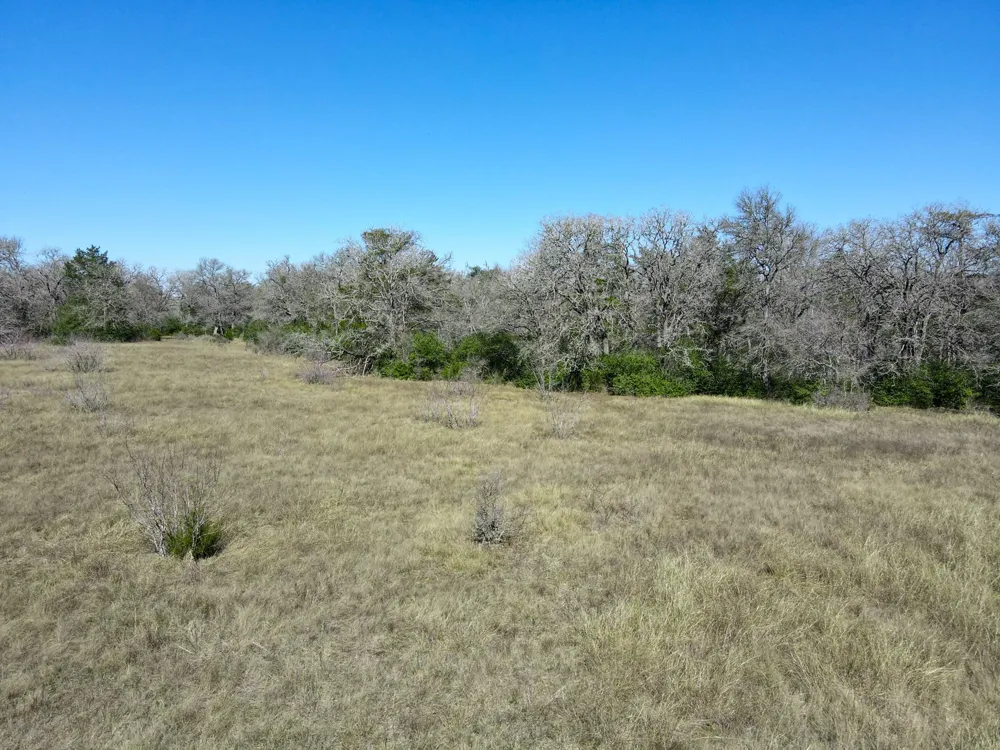 9561 Farm Market 166 Caldwell, TX 77836