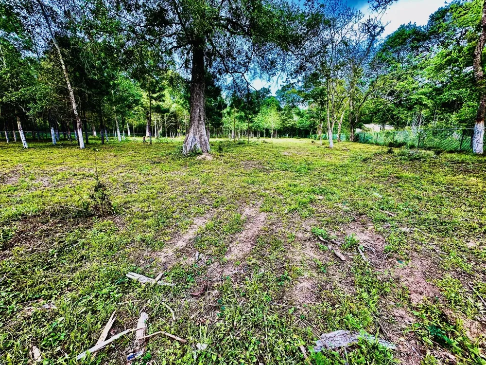 3658 Reaves Road Cleveland, TX 77328