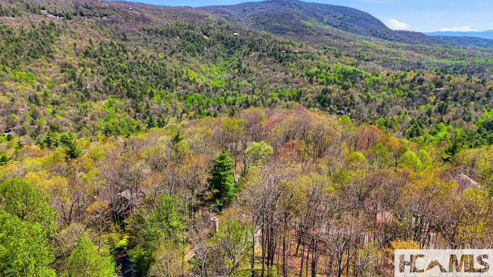 30 Birdnest Road Sapphire, NC 28774