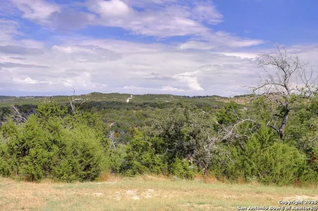 448 Red Rock Road Blanco, TX 78606