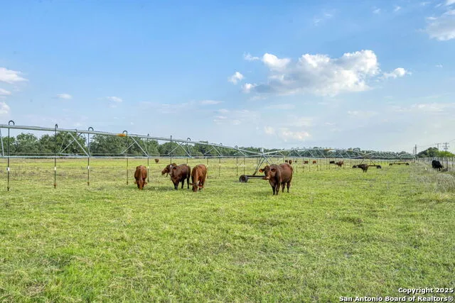 2605 SCHUETTIG RD Poteet, TX 78065