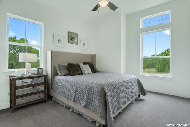 1465 Ironwood Rd Fischer, TX 78623