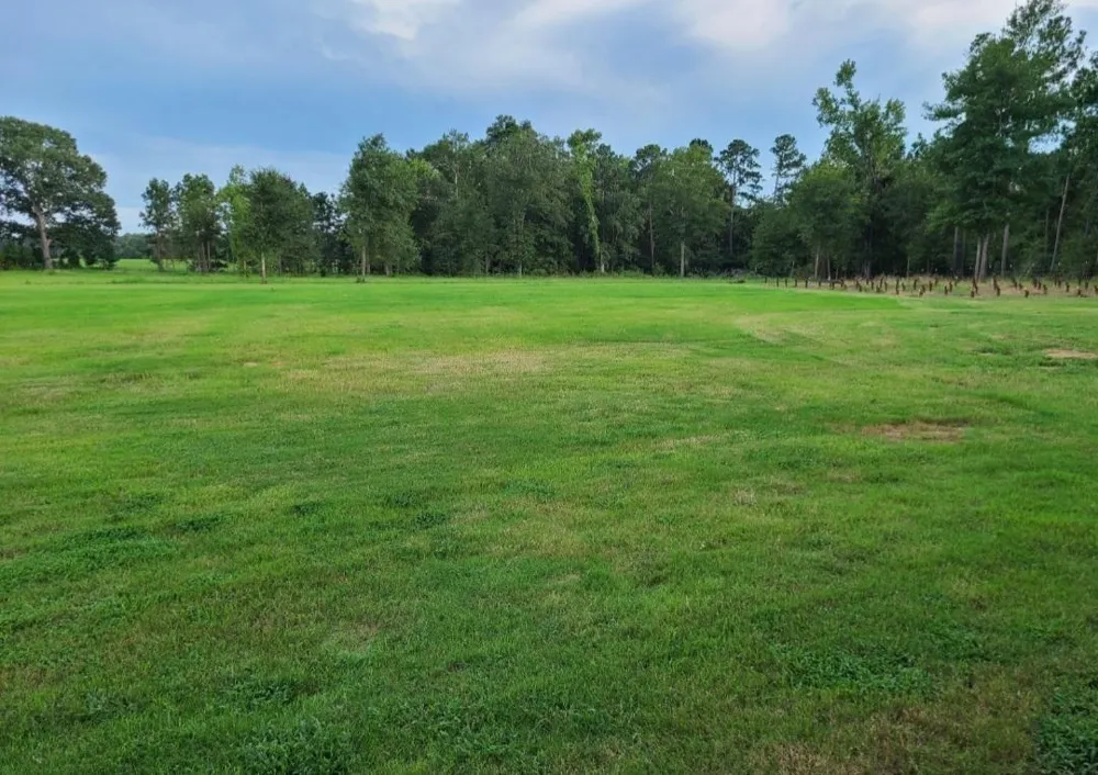1167 County Road 2125 Crockett, TX 75835