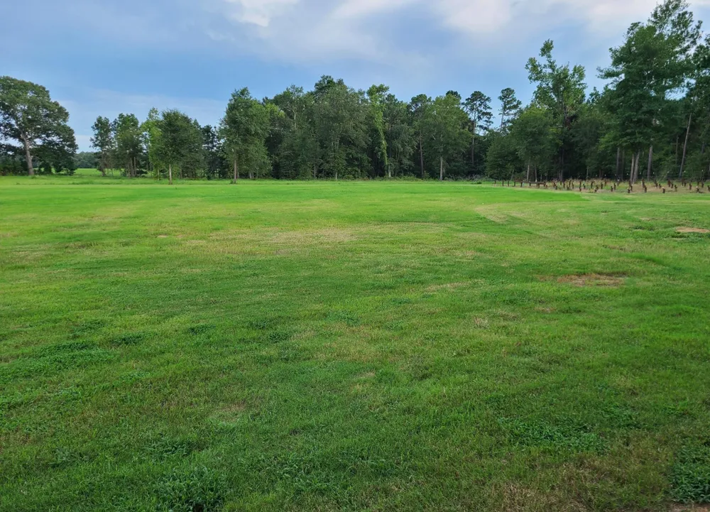 1167 County Road 2125 Crockett, TX 75835
