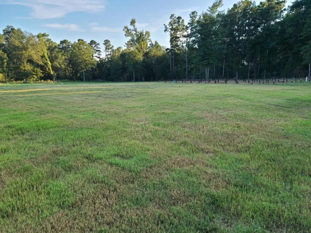 1167 County Road 2125 Crockett, TX 75835