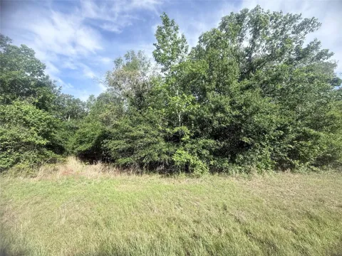 21203 Grant Lake Circle