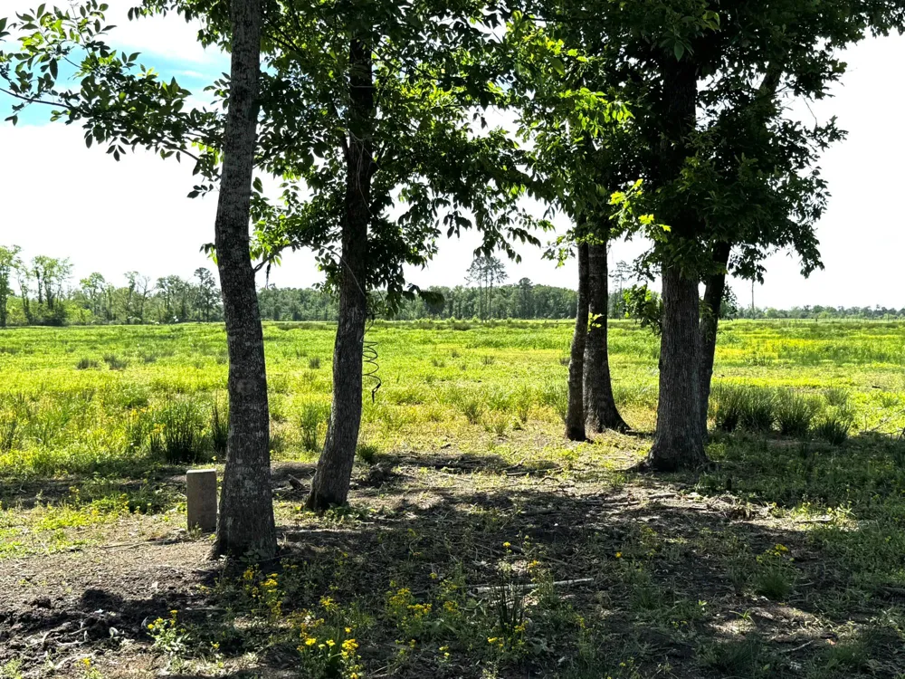 3400 Fm 1127 Shepherd, TX 77371