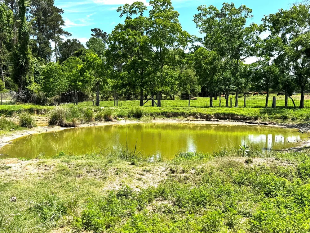 3400 Fm 1127 Shepherd, TX 77371
