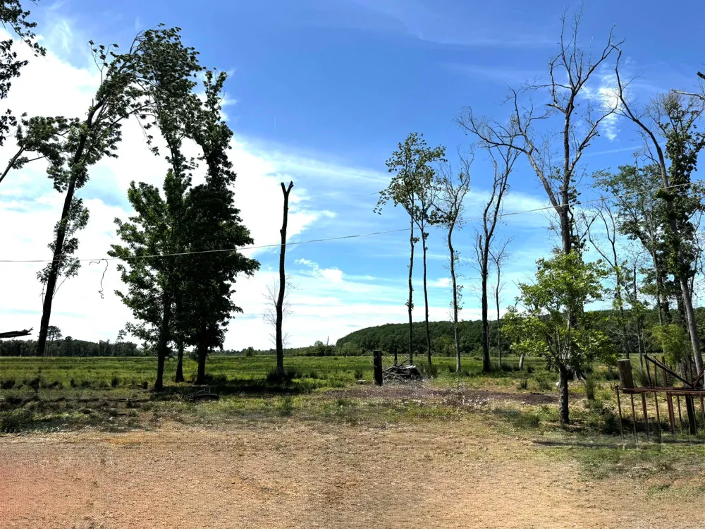 3400 Fm 1127 Shepherd, TX 77371