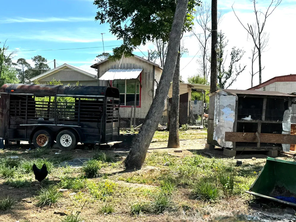 3400 Fm 1127 Shepherd, TX 77371