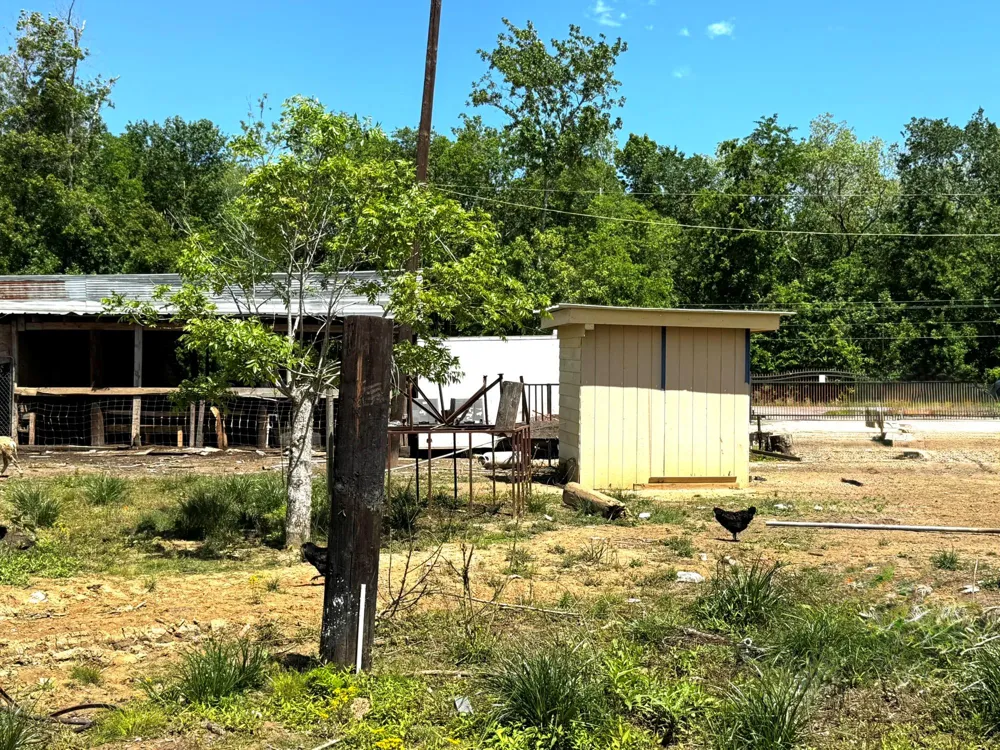 3400 Fm 1127 Shepherd, TX 77371