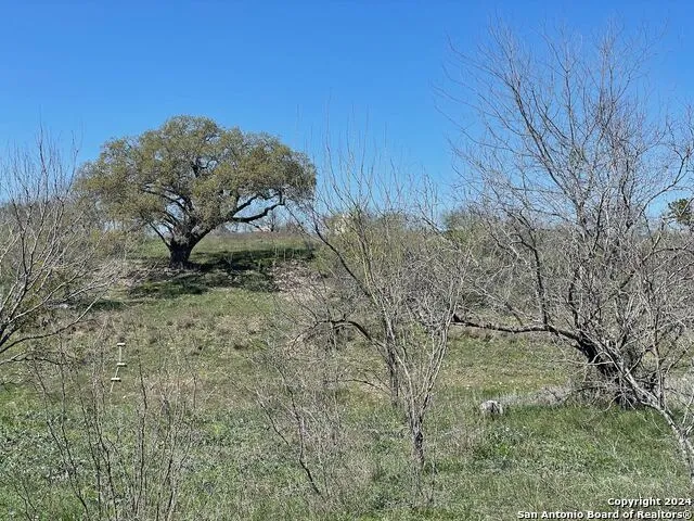 6220 FM 2676 Hondo, TX 78861