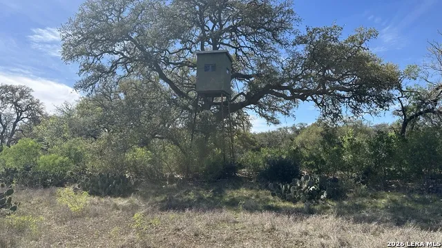 705 Elbel Bend Spring Branch, TX 78070