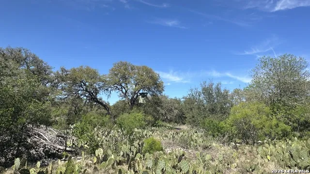 705 Elbel Bend Spring Branch, TX 78070