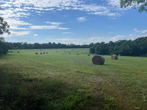 1550 TBD County Road