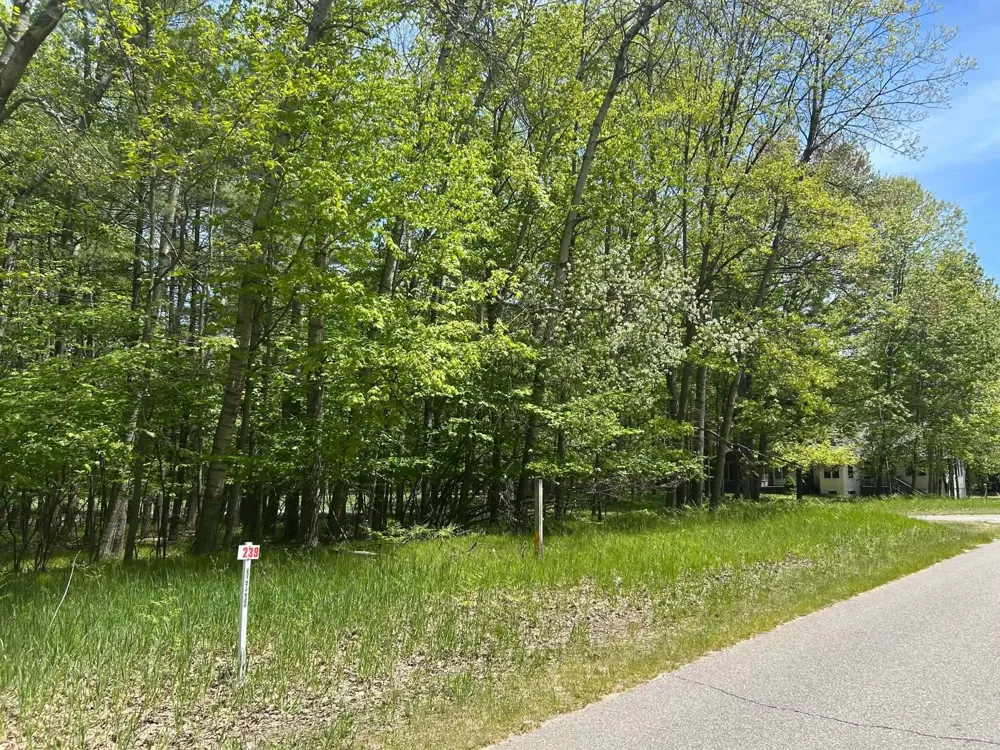 6718 Beechnut Ridge #239 Canadian Lakes, MI 49346