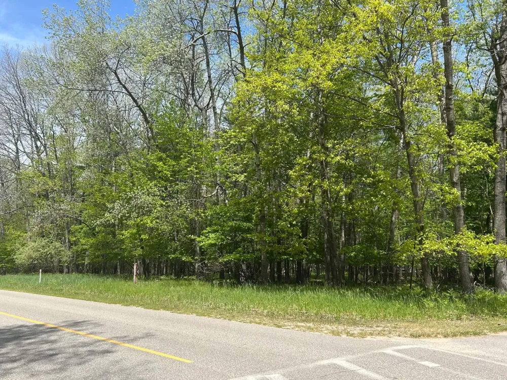 6718 Beechnut Ridge #239 Canadian Lakes, MI 49346