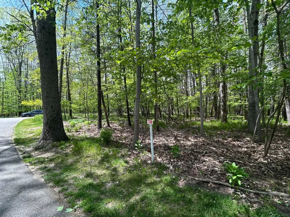 6718 Beechnut Ridge #239 Canadian Lakes, MI 49346