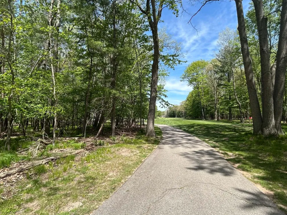 6718 Beechnut Ridge #239 Canadian Lakes, MI 49346
