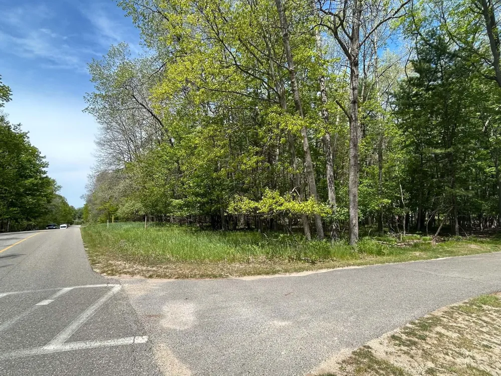 6718 Beechnut Ridge #239 Canadian Lakes, MI 49346