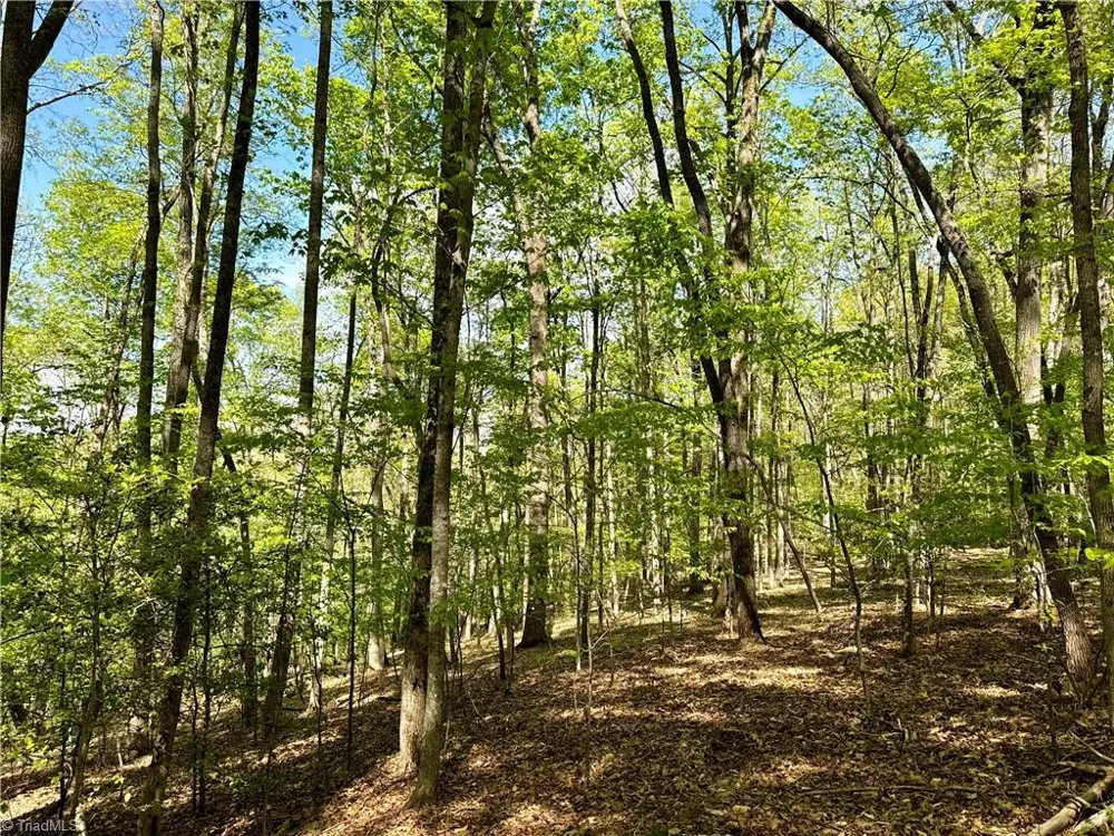 3311 NC Highway 66 S Westfield, NC 27053