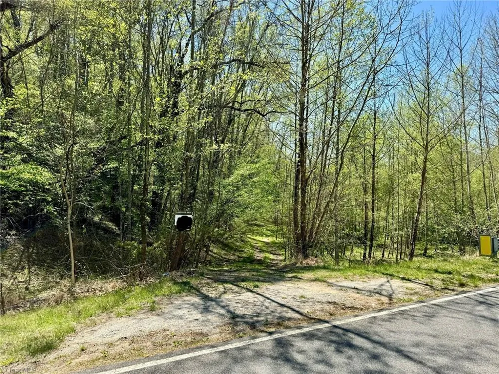 3311 NC Highway 66 S Westfield, NC 27053