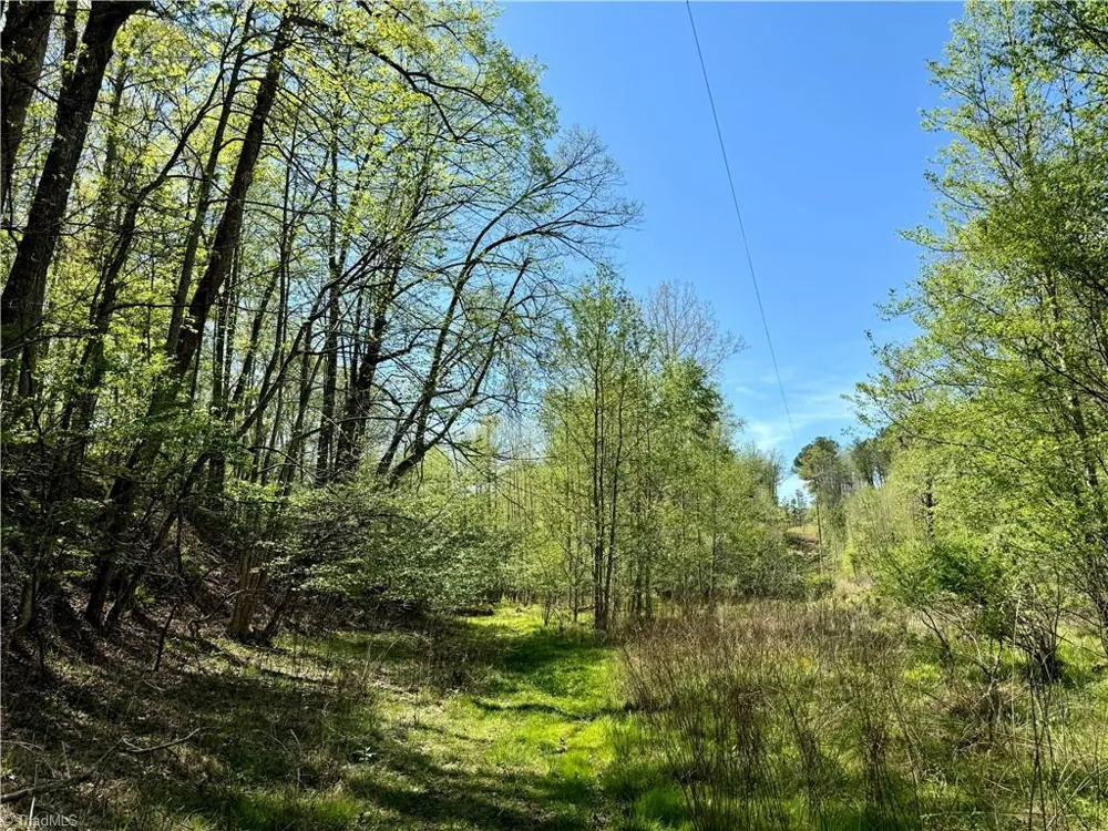 3311 NC Highway 66 S Westfield, NC 27053