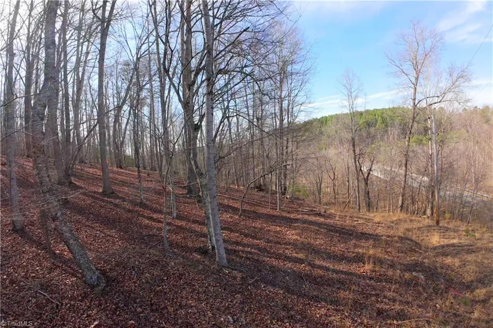 3311 NC Highway 66 S Westfield, NC 27053