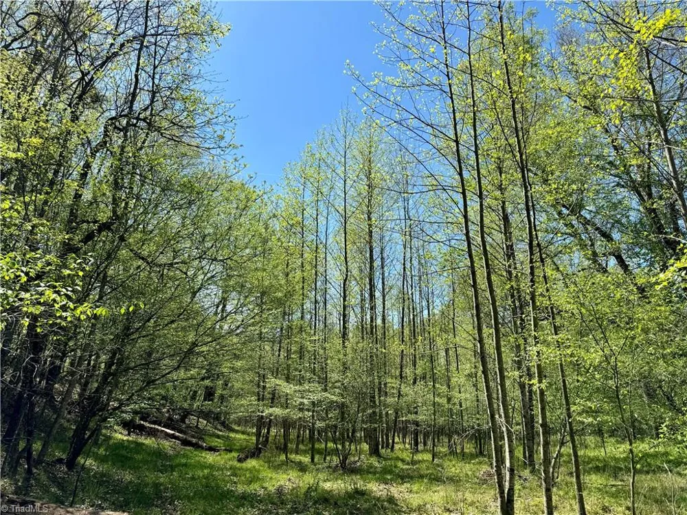 3311 NC Highway 66 S Westfield, NC 27053