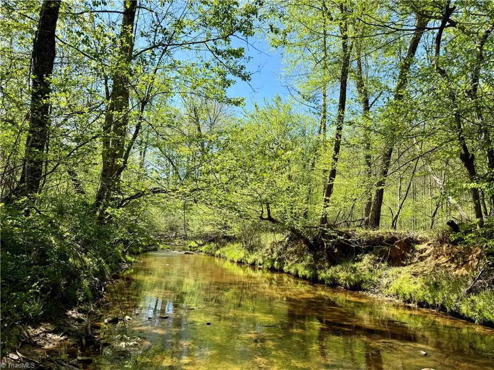 3311 NC Highway 66 S Westfield, NC 27053
