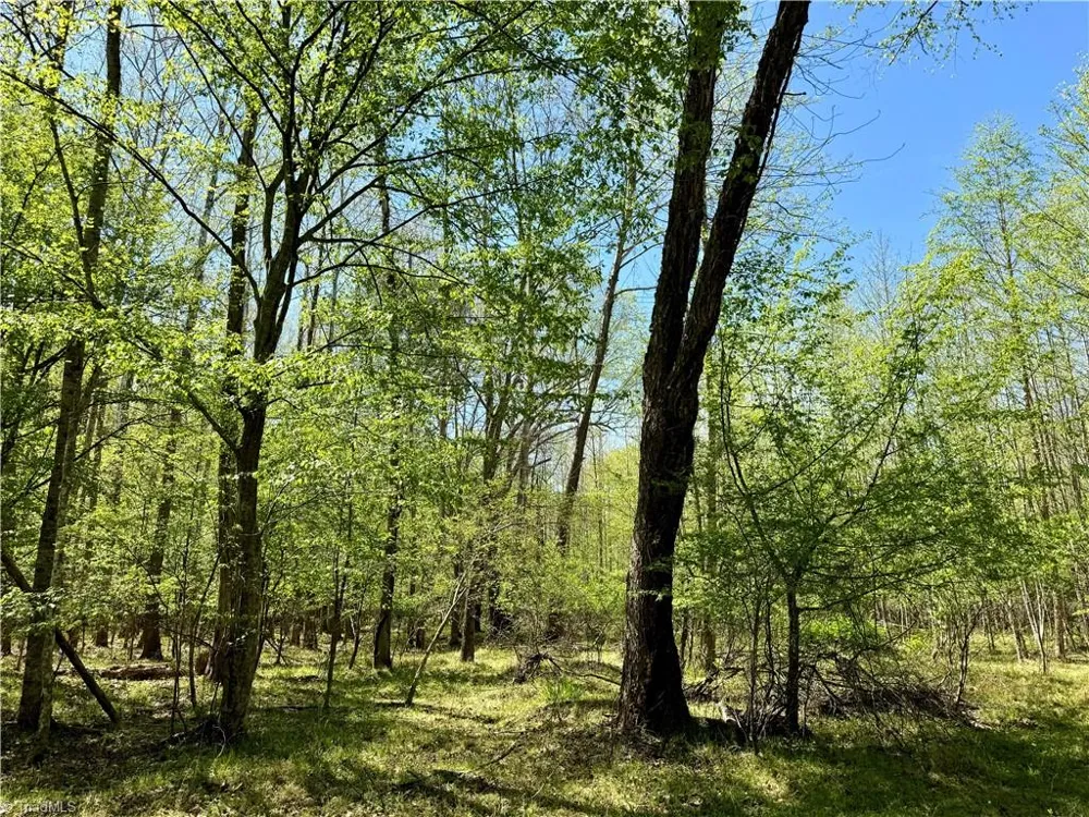 3311 NC Highway 66 S Westfield, NC 27053