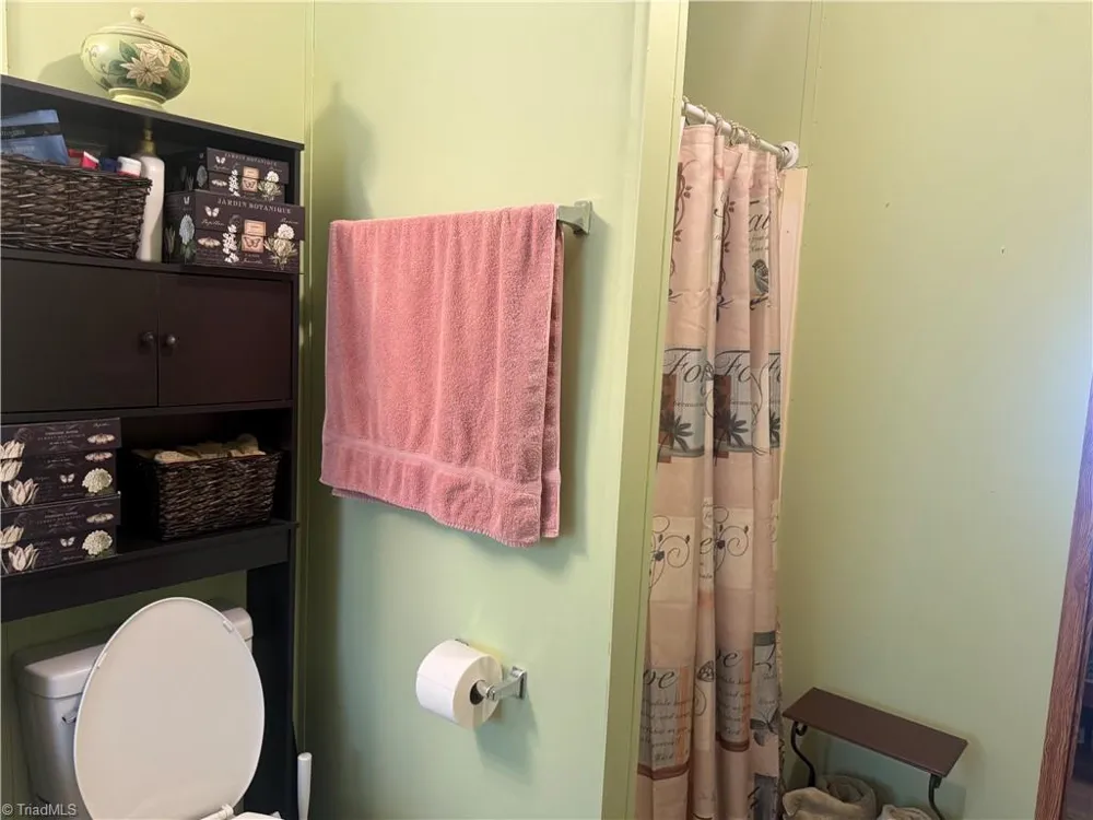 231 CP Riddle Trail Mount Airy, NC 27030