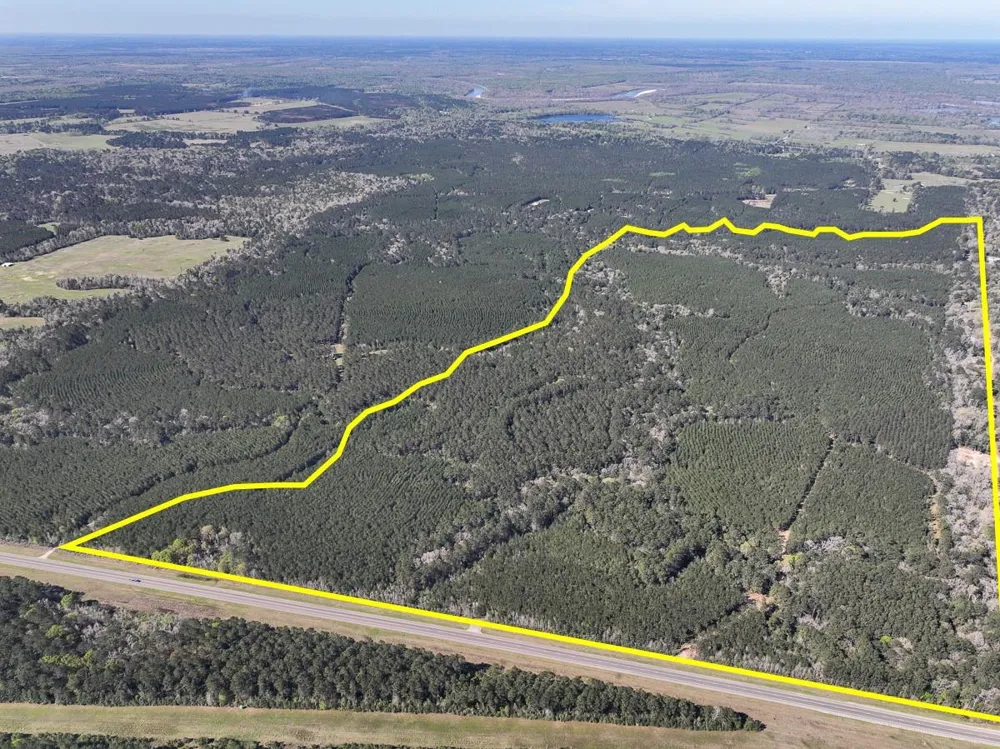 5 Highway 146 Livingston, TX 77351
