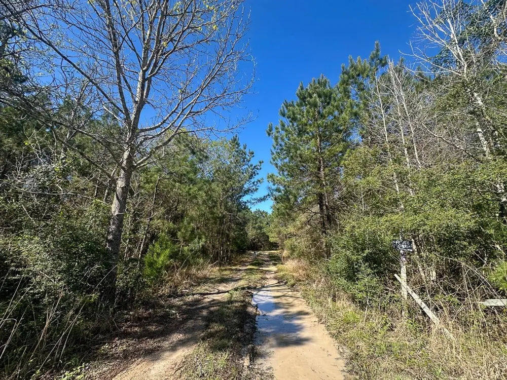 5 Highway 146 Livingston, TX 77351
