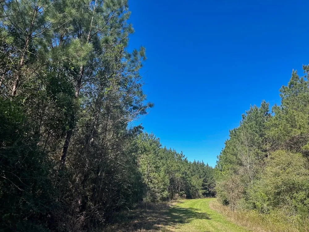 5 Highway 146 Livingston, TX 77351