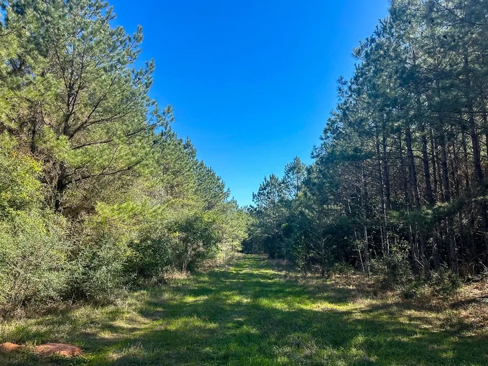 5 Highway 146 Livingston, TX 77351