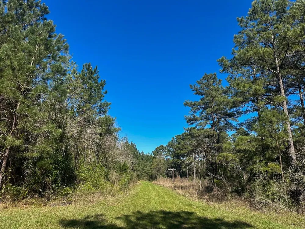 5 Highway 146 Livingston, TX 77351