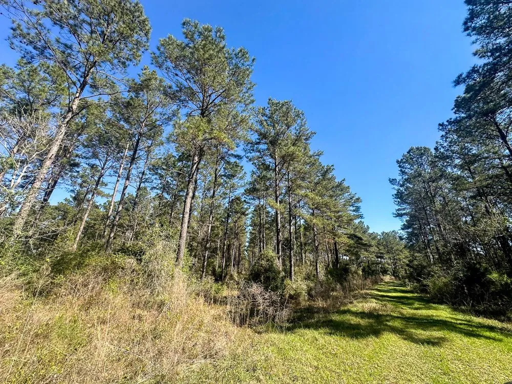 5 Highway 146 Livingston, TX 77351