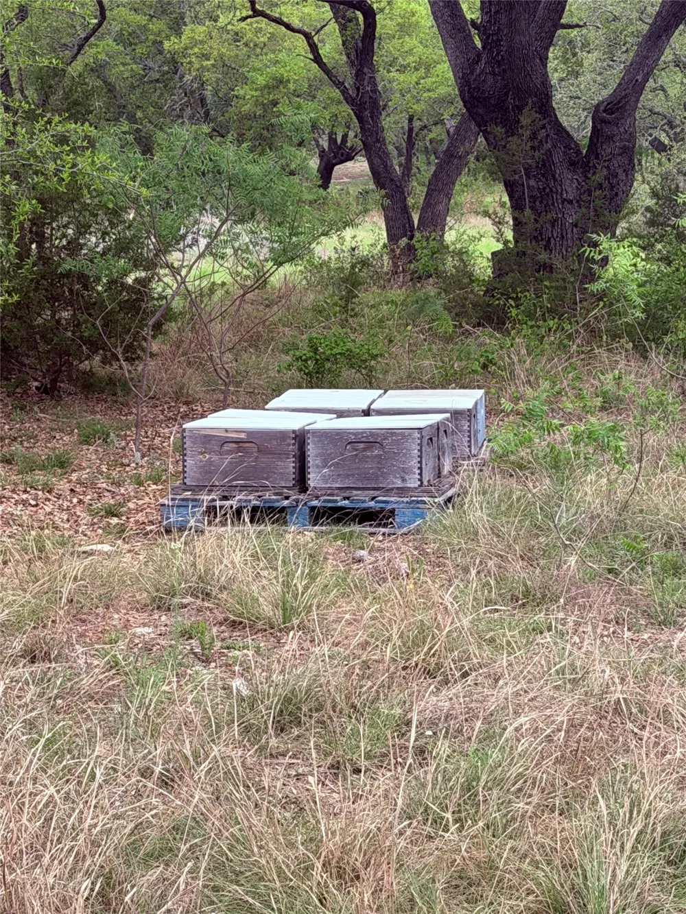 S FM 1174 Bertram, TX 78605