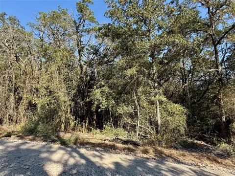 1232 Hanauma Drive