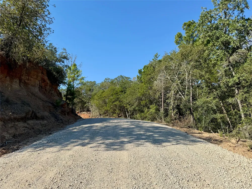 1232 Hanauma Drive Bastrop, TX 78602
