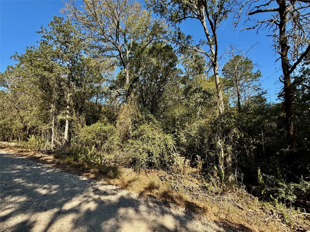 1232 Hanauma Drive Bastrop, TX 78602