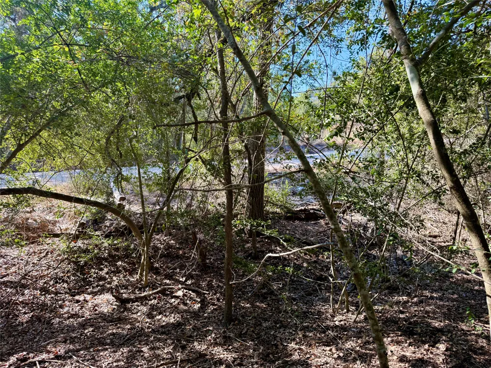 1232 Hanauma Drive Bastrop, TX 78602