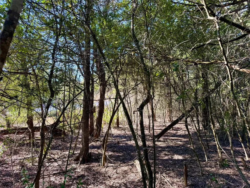 1232 Hanauma Drive Bastrop, TX 78602