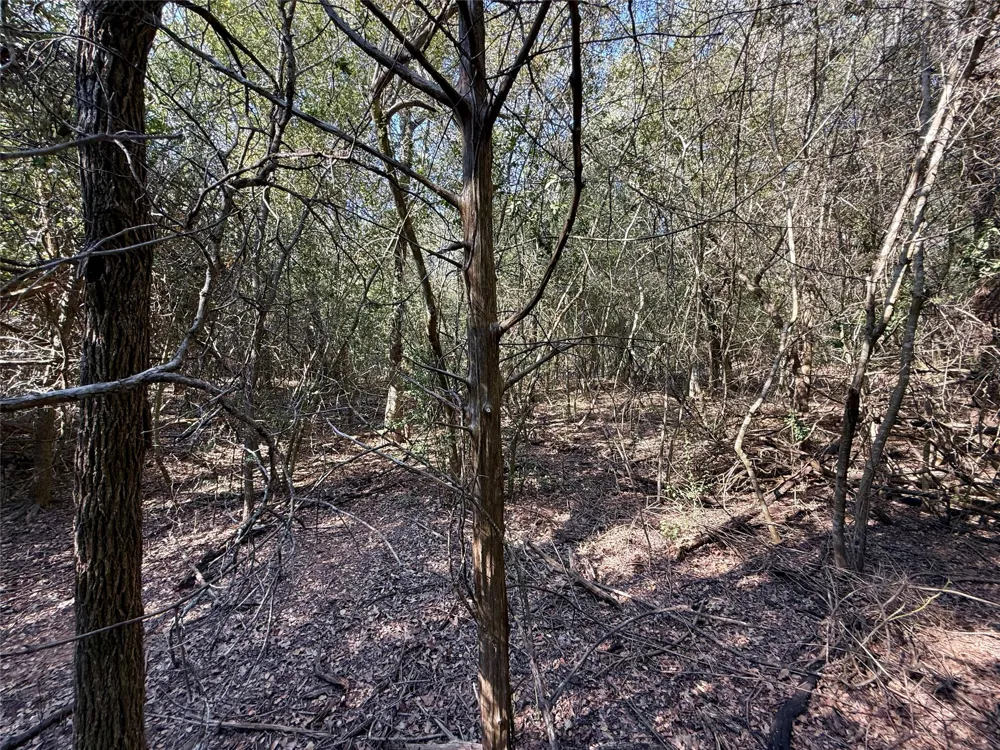1232 Hanauma Drive Bastrop, TX 78602