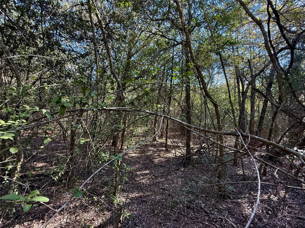 1232 Hanauma Drive Bastrop, TX 78602