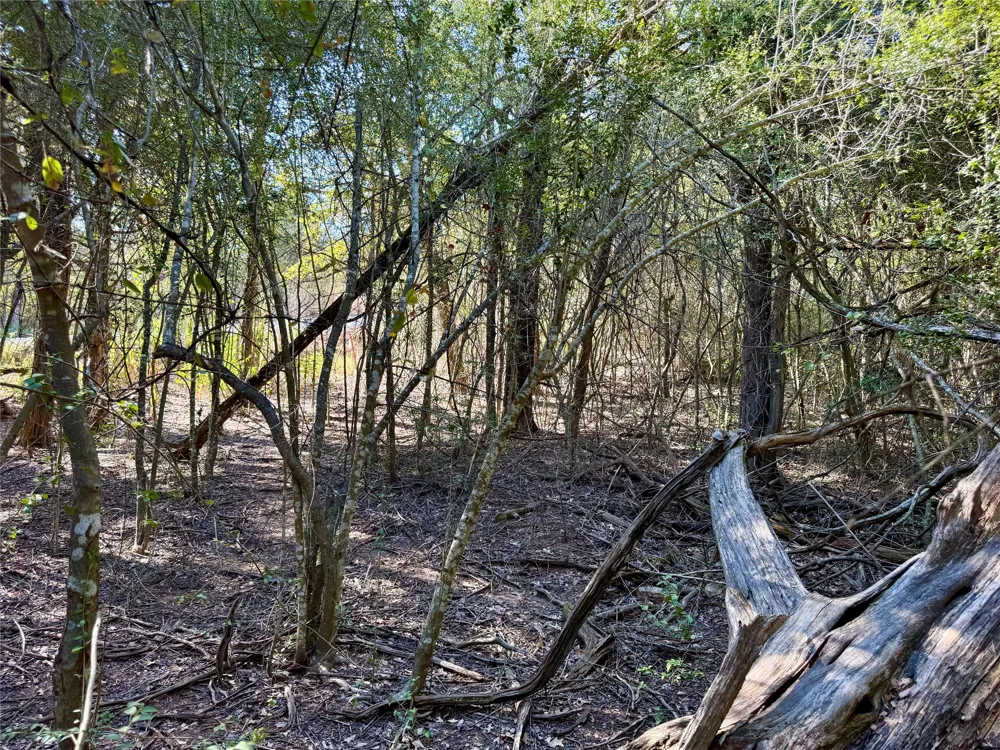 1232 Hanauma Drive Bastrop, TX 78602