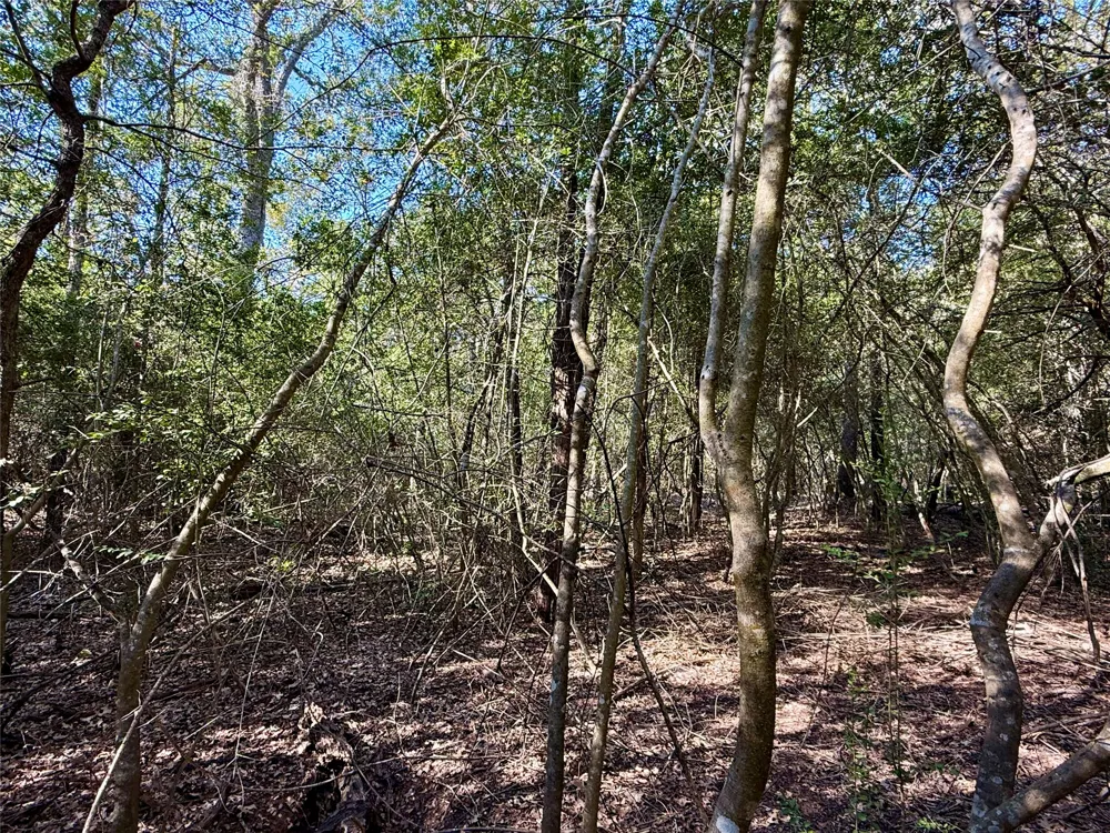 1232 Hanauma Drive Bastrop, TX 78602